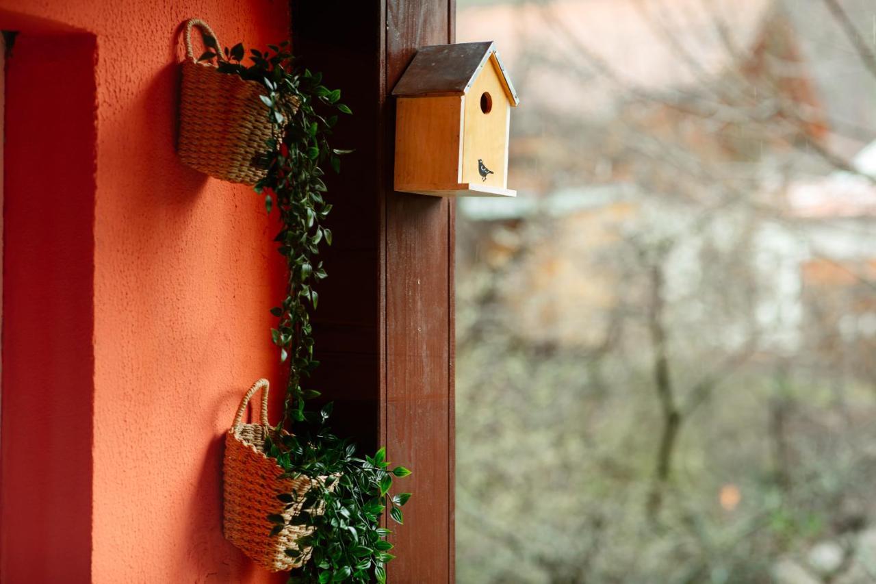 Home & Garden With Stunning View Sinaia Luaran gambar